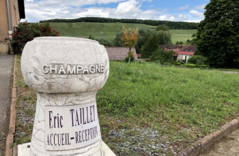 Champagne Éric Taillet